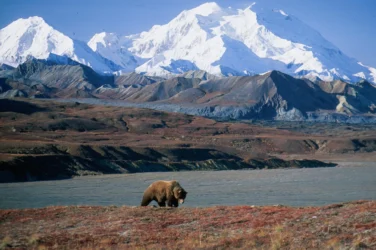 Denali National Park (Alaska)