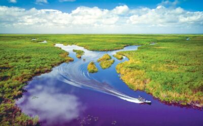 Everglades National Park (Florida)